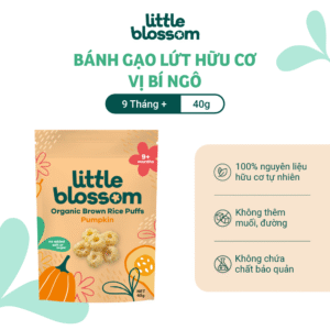 LITTLE BLOSSOM ORGANIC BROWN RICE PUFFS - PUMPKIN 40G