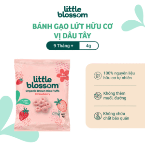 LITTLE BLOSSOM ORGANIC BROWN RICE PUFFS - STRAWBERRY 40G
