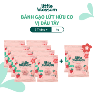 LITTLE BLOSSOM ORGANIC BROWN RICE PUFFS - STRAWBERRY 4G